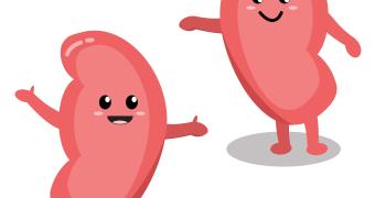 https://pixabay.com/fr/illustrations/rein-sant%C3%A9-le-sourire-dessin-anim%C3%A9-6009357/