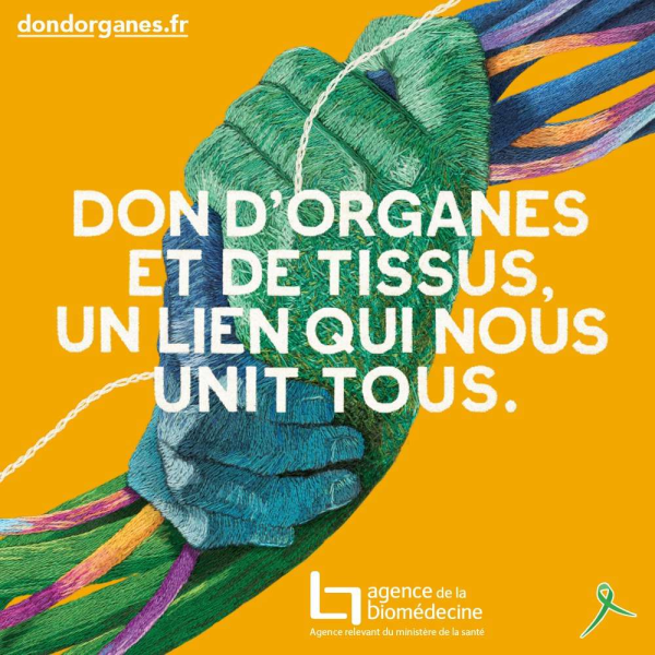 Don d'organes